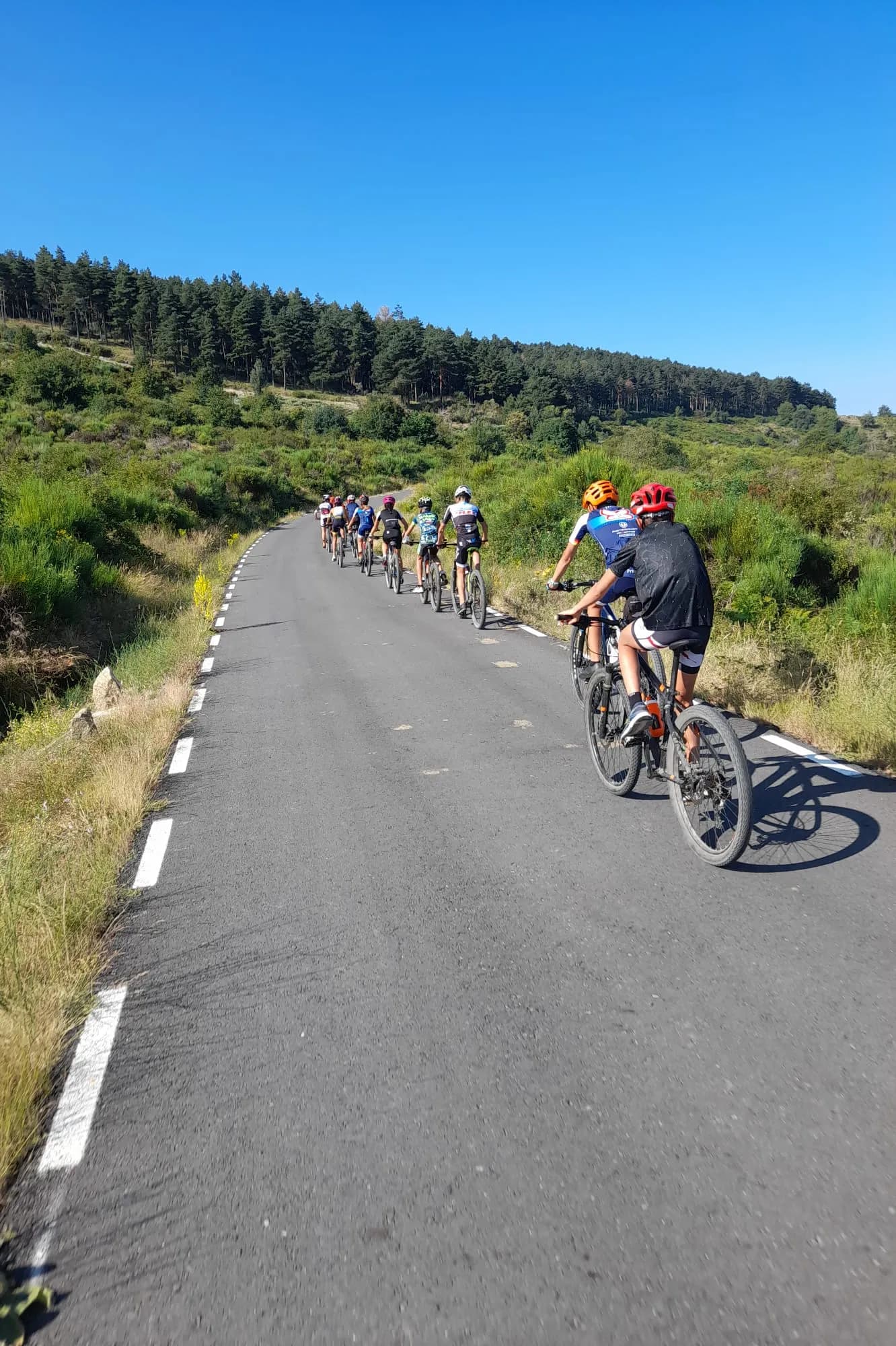 Entrenamiento de bicicleta